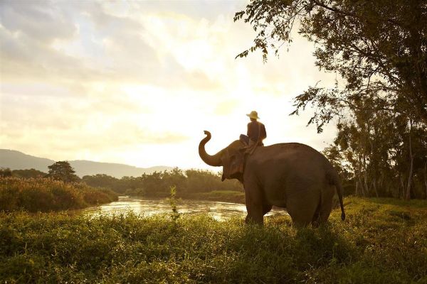 Hotel Anantara Golden Triangle Elephant Camp & Resort (Chiang Saen)